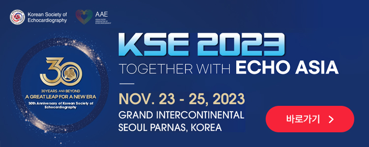 한국심초음파학회 추계학술대회 KSE 2023